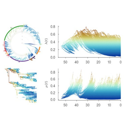 Course-Probabilistic-inference-of-Phylogenetic-Comparative-Methods-(PCM)-using-Julia