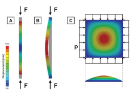 Course Non-linear Finite Element Analysis applied to Life Sciences