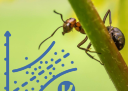 Curso Modelos lineales generalizados (GLM) con Jamovi