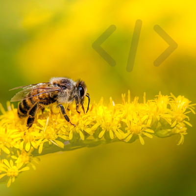 Transmitting Science Course Web Scraping in R