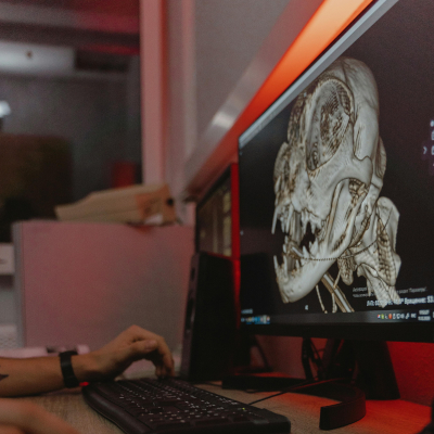 Transmitting Science Course Introduction to Micro-CT Scanning Acquisition Segmentation and Postprocessing