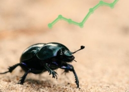 Transmitting Science Course Ecological Forecasting in Practice