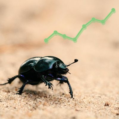 Transmitting Science Course Ecological Forecasting in Practice