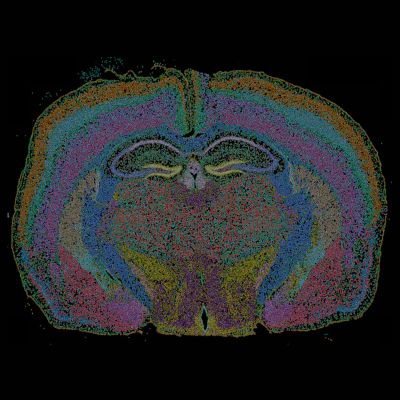 Course-Introduction to spatial transcriptomics Transmitting Science