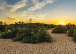 Course Introduction Ecosystem Restoration Transmitting Science